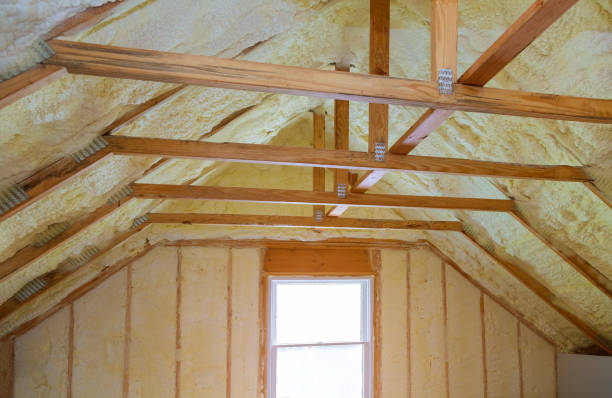 Best Soundproof Insulation Installation  in Lansing, KS