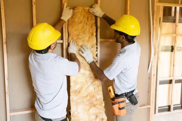 Best Affordable Insulation Services  in Lansing, KS