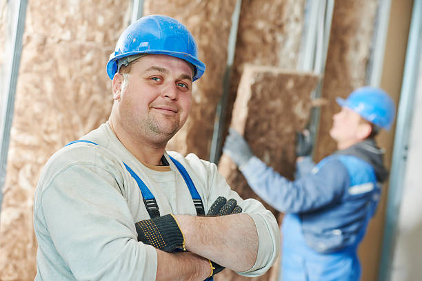 Best Spray Foam Insulation  in Lansing, KS