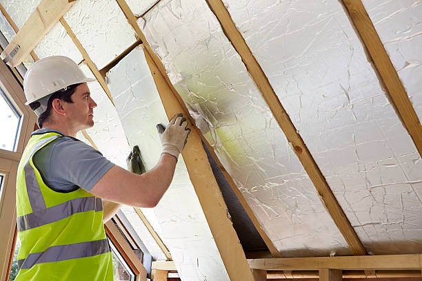 Best Wall Insulation Contractor  in Lansing, KS