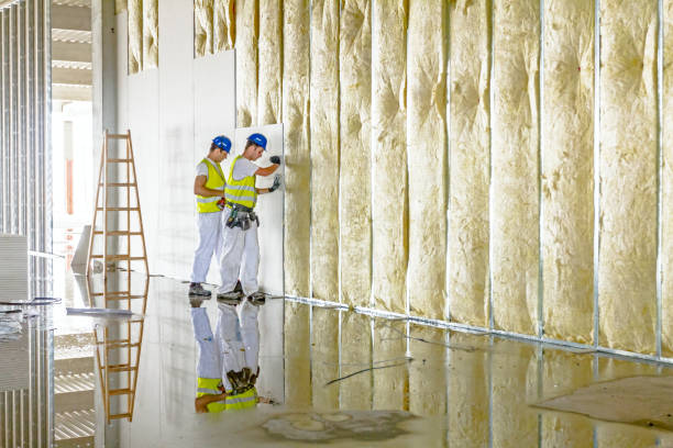 Best Insulation Removal  in Lansing, KS